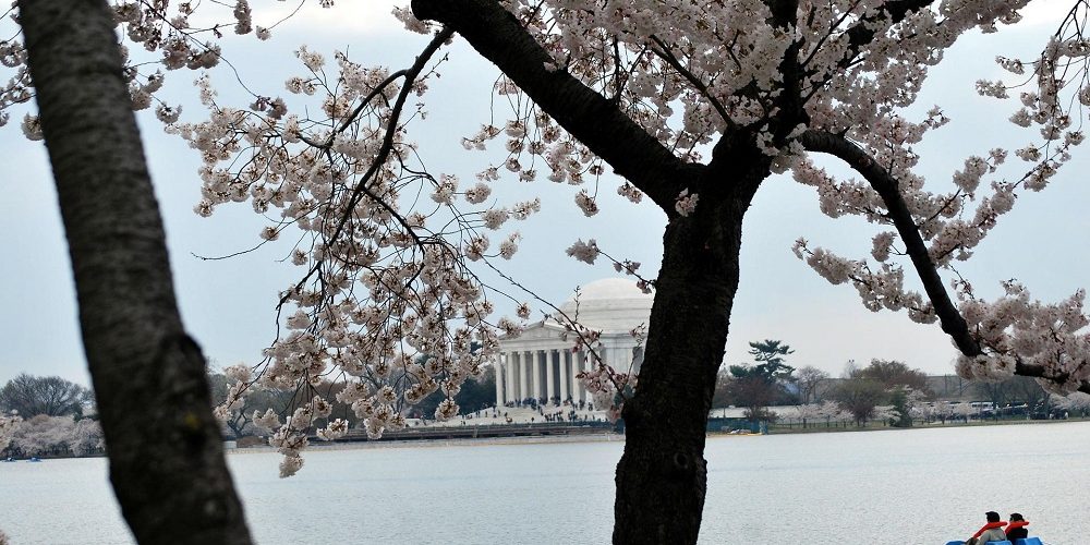 Jefferson Memorial, Washington DC